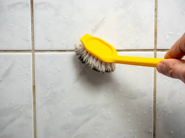 Best Mold Damage Repair  in Palos Heights, IL