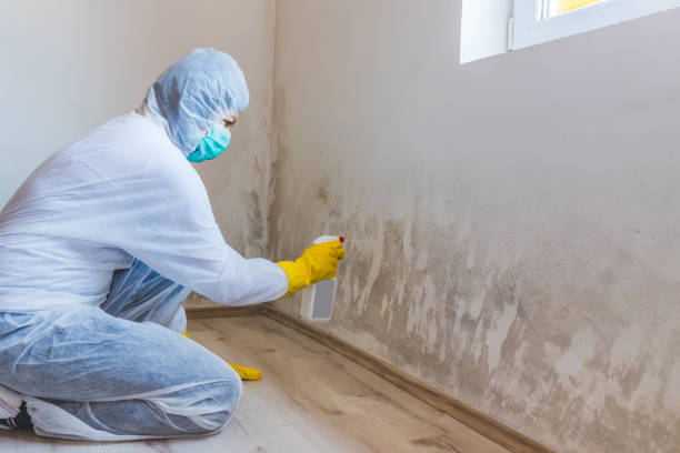 Crawl Space Mold Removal in Palos Heights, IL