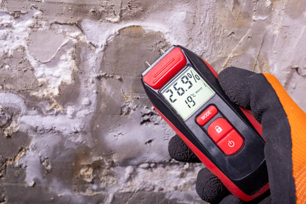 Best Mold Testing  in Palos Heights, IL