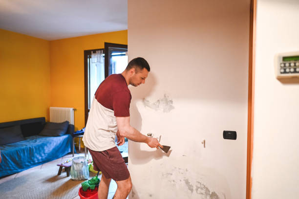 Best Mold Remediation  in Palos Heights, IL